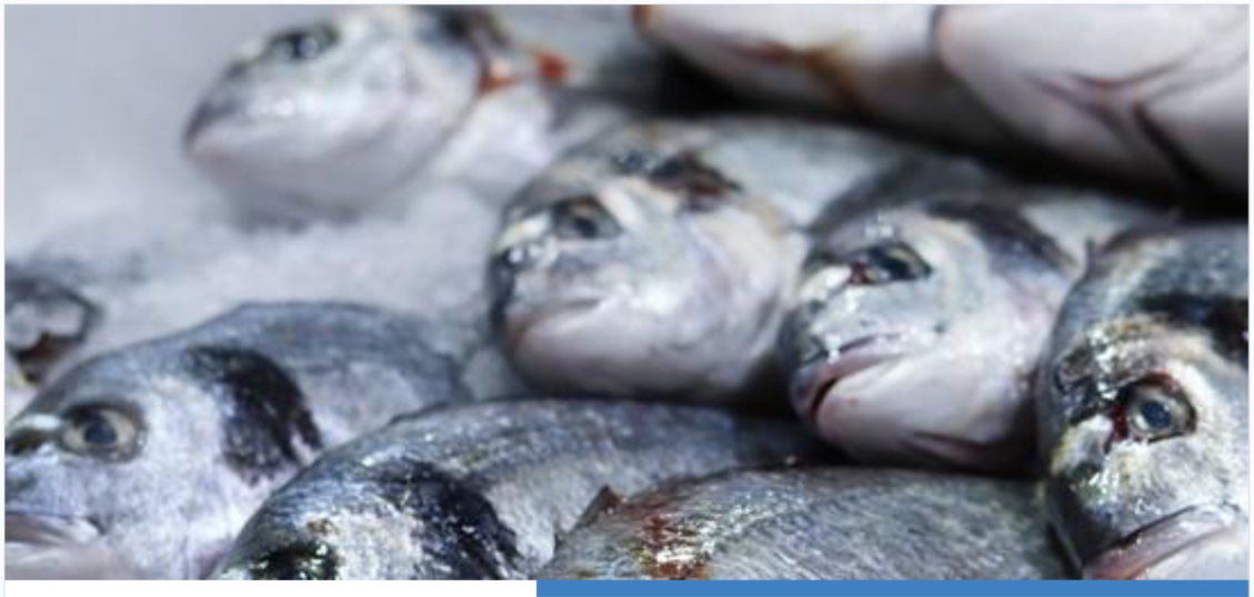 Inovatīva un augstvērtīga olbaltumvielu zivju produkta izstrāde ar optimizētu sastāvu enerģijas uzturēšanai un veselības stiprināšanai - logo 2